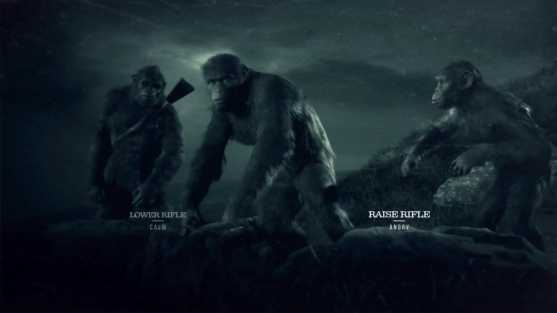 Fig. 13 . Choices single player
